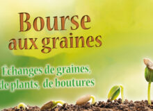 Bourse-aux-graines-2023